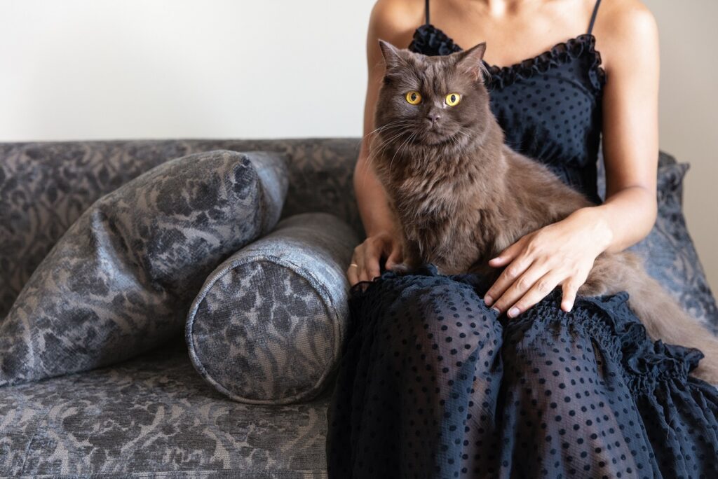 Floofy cat pet friendly fabric astico
