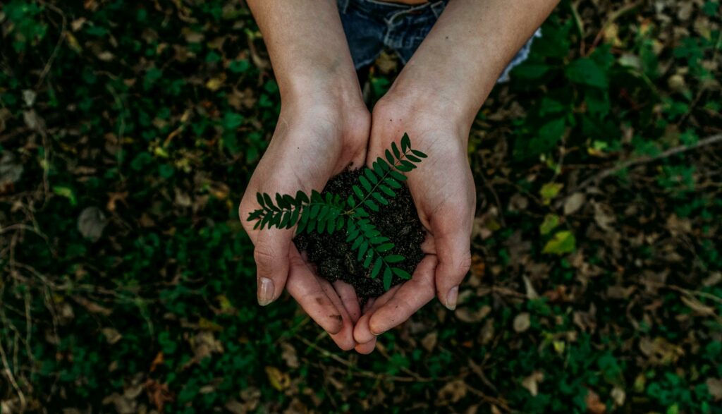 Noah buscher x8 Z Stuk S2 PM unsplash